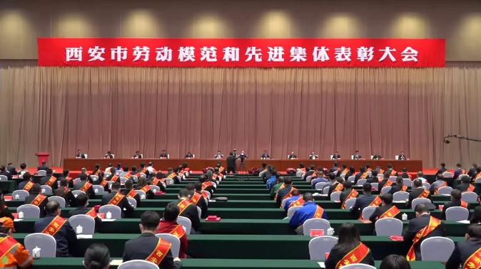 350vip8888新葡的京集团股份栗芬琴荣获“西安市劳动模范”荣誉称号