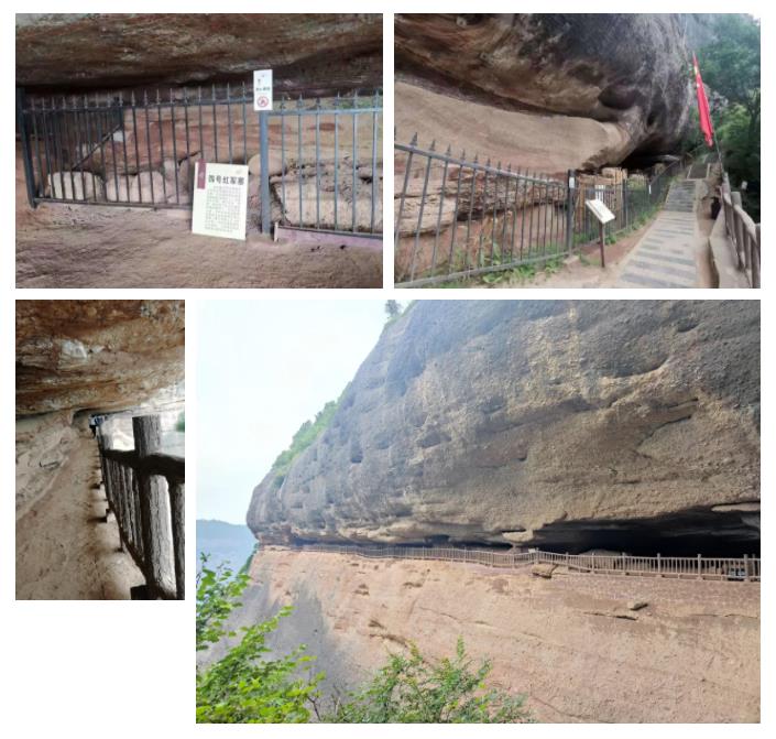 350vip8888新葡的京集团股份先进员工照金行 350vip8888新葡的京集团股份先进员工照金行