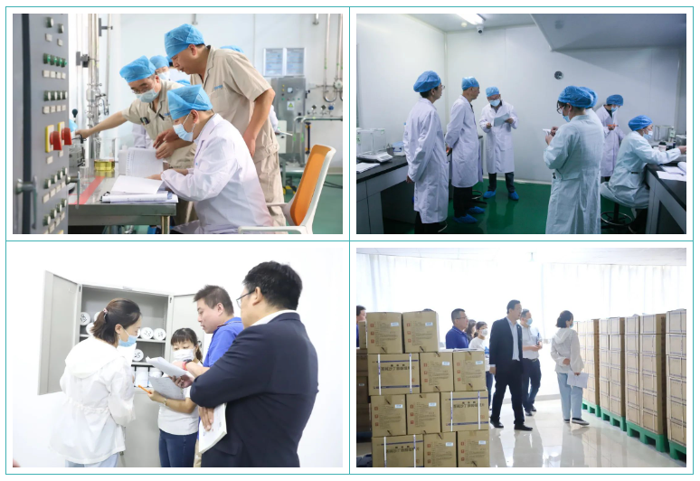 350vip8888新葡的京集团股份GMP符合性检查圆满结束