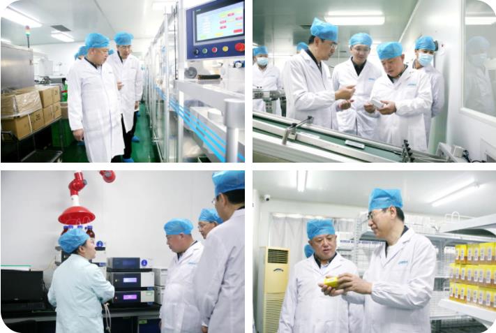 榆林市榆阳区政府领导莅临350vip8888新葡的京集团股份考察调研 榆林市榆阳区政府领导莅临350vip8888新葡的京集团股份考察调研